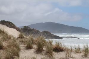 On Ocean Beach with grass