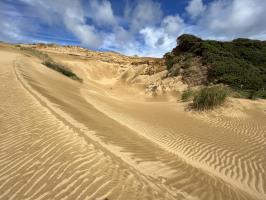 Sand dunes ridge