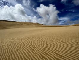 Waves of sand on dunes