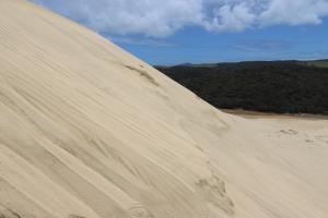 Climbing sand dunes