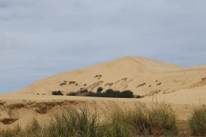 Near start of trail to sand dunes
