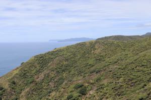 Hills seen approaching Cape Reinga Lighthouse