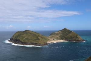 View of Motuopao Island from high point at Cape Maria Van Diemen