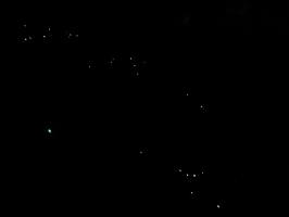 Glow worms seen returning from Pinnacles at night
