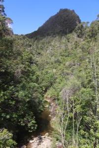 View on Pinnacles trail