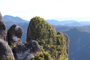 Up close of rock at top seen from Pinnacles