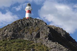 Cape Palliser Lighthouse seen from road below