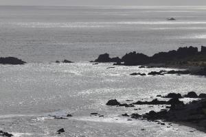 View of rocks seen from Cape Palliser Lighthouse looking north
