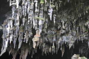 Hanging stalactites