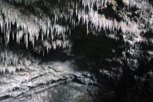Inside cave view of stalactites