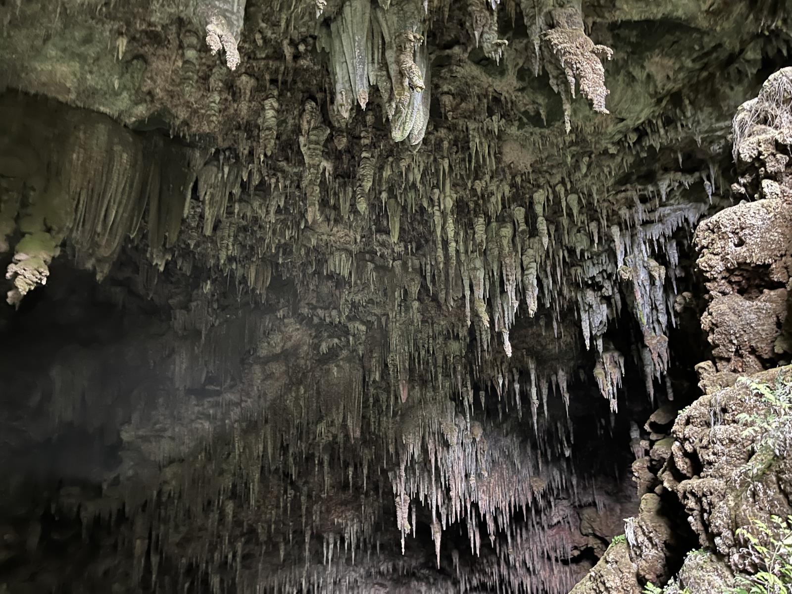 Rawhiti Caves - New Zealand