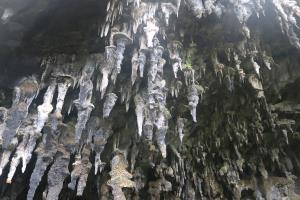 Looking up at hanging stalactites