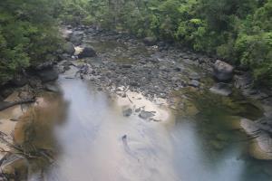 Creek seen from bridge