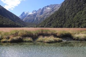 Stream and mountains at Routeburn Flats campsite