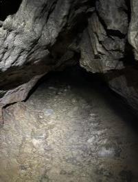 Near entrance to Clifden Caves