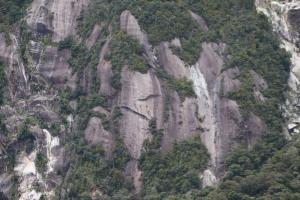 Close up of rocks in Milford Sound