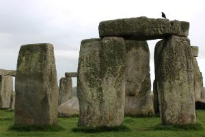 Stonehenge up close with bird