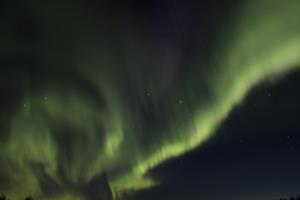 Aurora in the sky from Chena Lakes