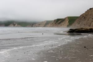 At beach with fog at Point Reyes