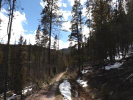 Looking back on Peaks Trail