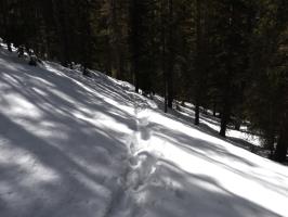 Footprints on Peaks Trail in the snow