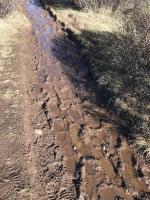 Muddy trail on Bierstadt