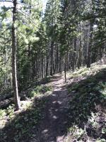 A trail near Peak 8 in Breckenridge