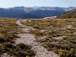 Wheeler Trail, Breckenridge to Copper Mountain