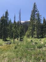 Buffalo Mountain at a distance near trailhead