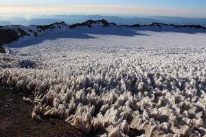 View of Crater Rim on summit of Mt. Rainier with heavily suncupped snow