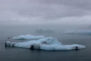 Iceberg seen from land with fog