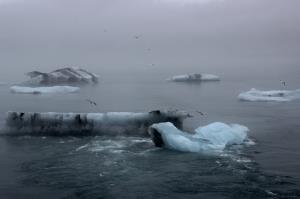 Icebergs floating by seen from bridge with birds flying over them