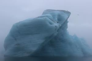 Iceberg seen from boat with a bird on it and another flying by