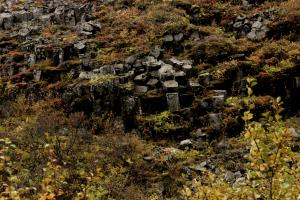 Rocks near Svartifoss waterfall