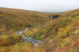 Svartifoss waterfall at a distance with river running from it