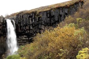 Svartifoss waterfall with trees nearby