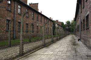 Auschwitz I with fence