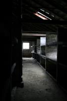 Inside prisoner living quarters at Auschwitz II