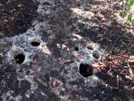 Solution holes on Otter Cave Hammock Trail