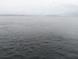 View from ferry to Vashon Island