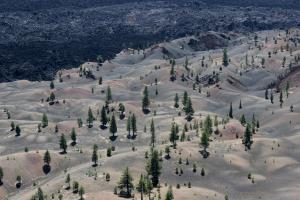 View of Painted Dunes along ridge of Cinder Cone