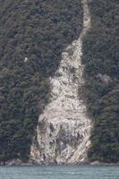 Rock wall and trees in Milford Sound