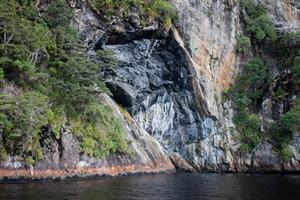 Close up of walls in Doubtful Sound