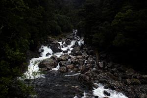 River at stop on way to Doubtful Sound