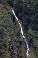 Waterfall on way to Doubtful Sound, close up