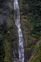 Waterfall seen in Doubtful Sound