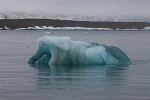 Iceberg seen in Borebukta