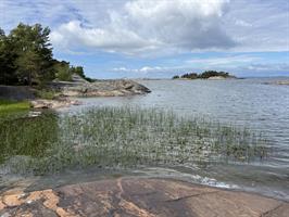 Rocks and grass growing from water facing Baltic Sea in Porkkalanniemi