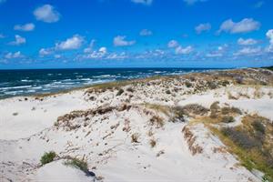 Curonian Spit sand dunes and beach