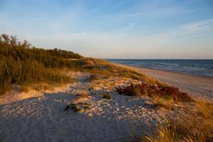 Smiltynė Beach and sand dunes near sunset